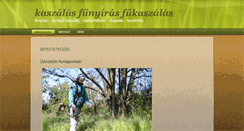 Desktop Screenshot of fukaszalas.net