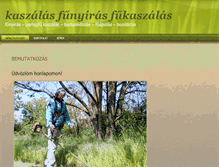 Tablet Screenshot of fukaszalas.net